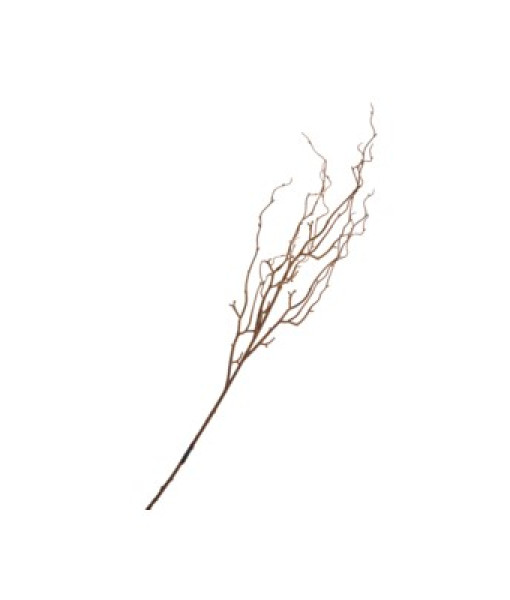 Longue Branche Plastifiée Brune 12x49.5