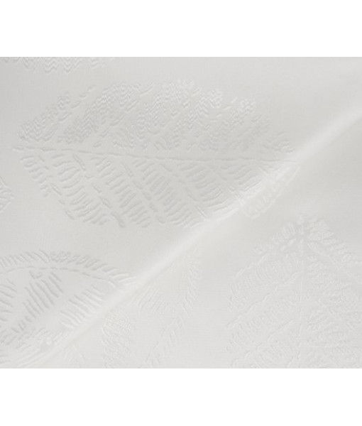 Rideau Argan Blanc 135 x 245 cm