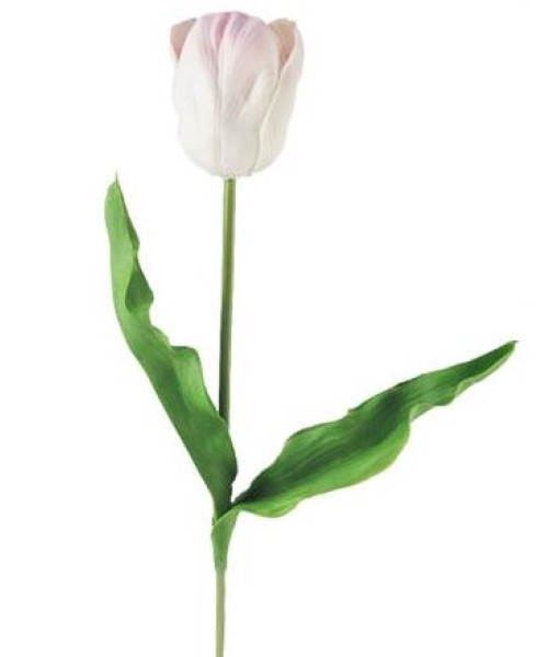Pu Tulip Spray White 19.5