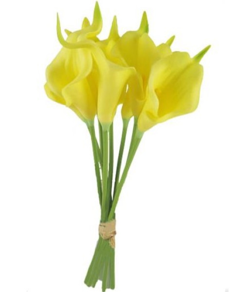 Calla Lily X9 / Bouquet Yellow