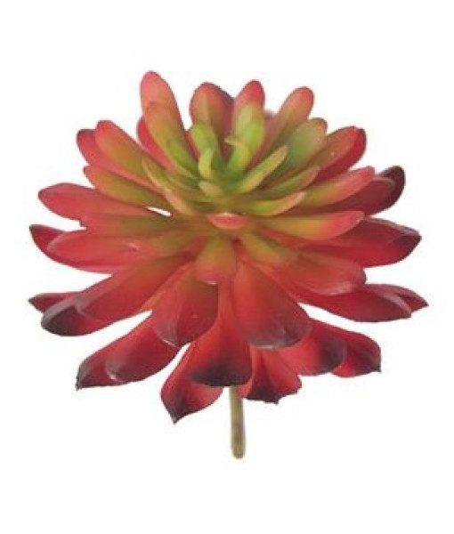 Plante artificielle - Aeonium Succulent Red