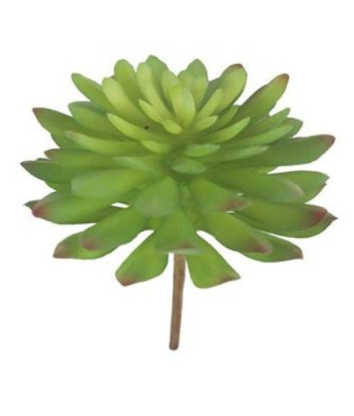 Plante artificielle - Aeonium  Succulent Green