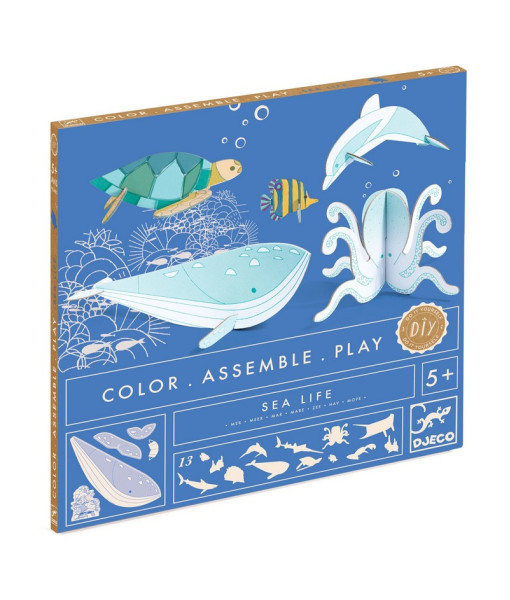 Color Assemble Play/mer